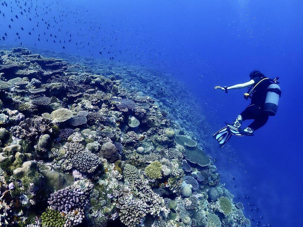 Fun Diver Over Tokei Hama Reef